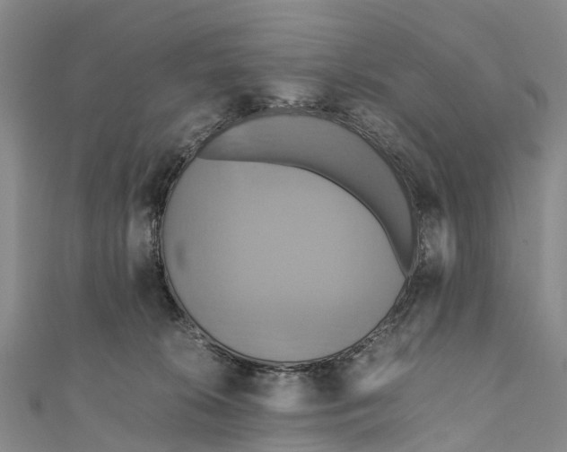 X0000110990276200907101437