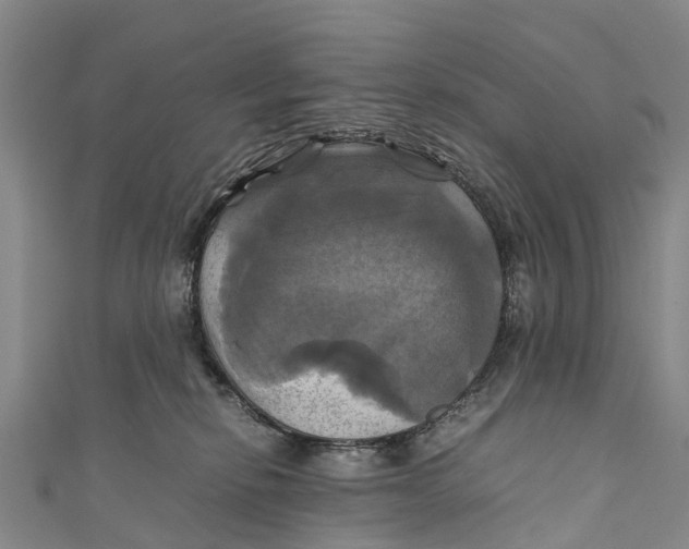 X0000110990278200907101437