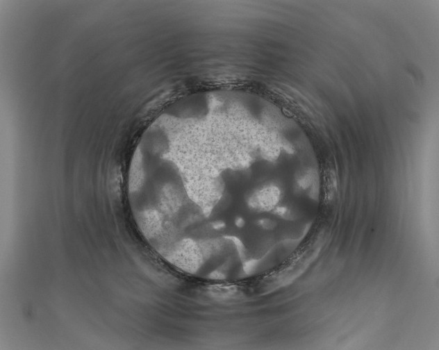 X0000110990279200907101437