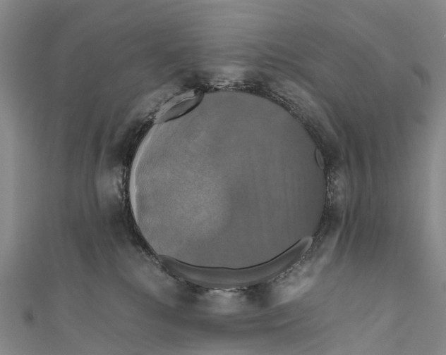 X0000110990280200907101437