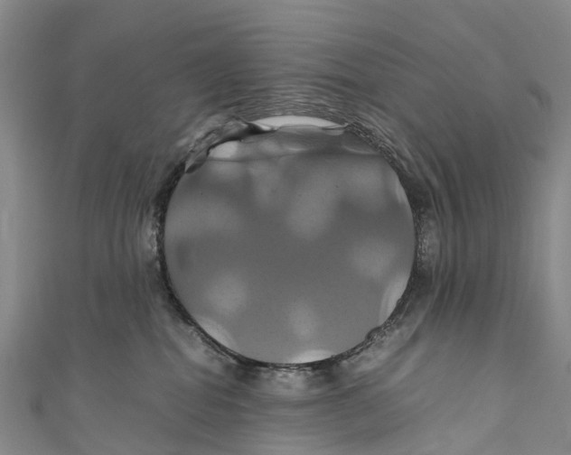 X0000110990282200907101437