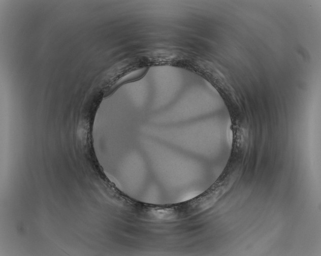 X0000110990283200907101437