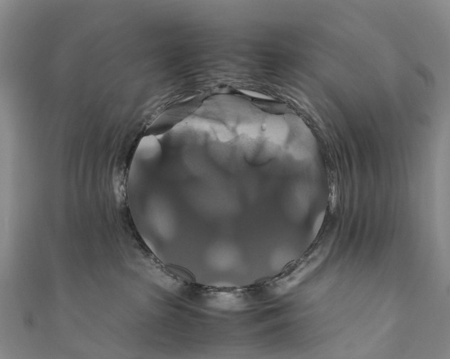 X0000110990285200907101437