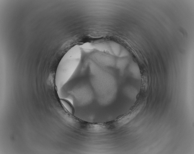 X0000110990286200907101437