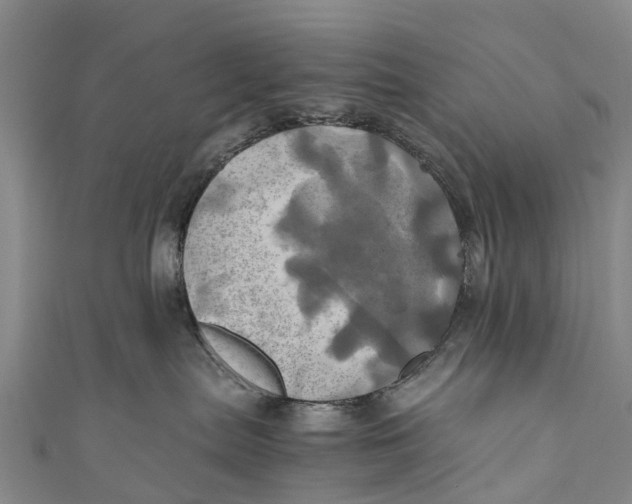 X0000110990287200907101437