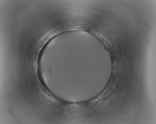 X0000110990290200907101436