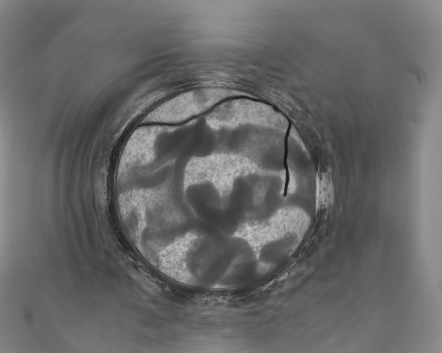 X0000110990291200907101436