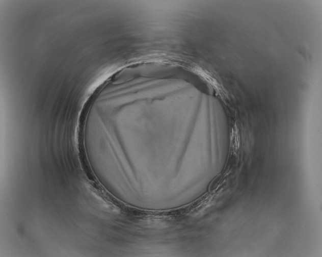 X0000110990292200907101436
