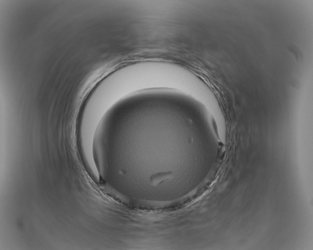 X0000110990293200907101436