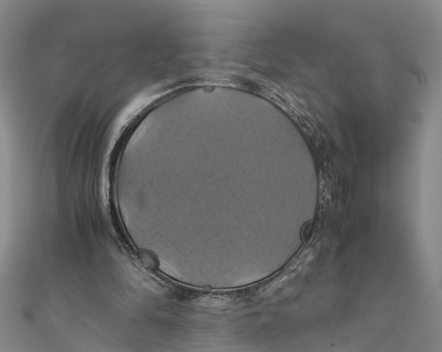 X0000110990294200907101436
