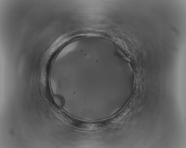 X0000110990295200907101436