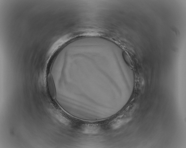 X0000110990296200907101436