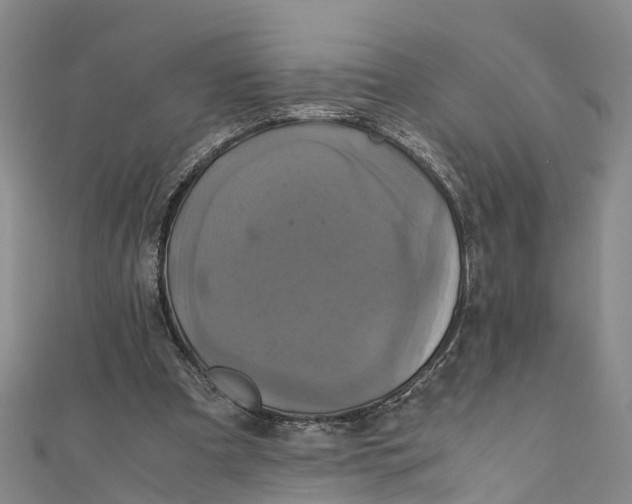 X0000110990297200907101436