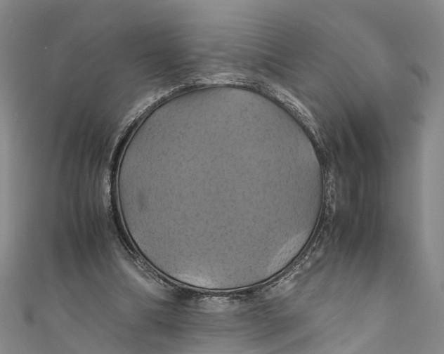 X0000110990298200907101436