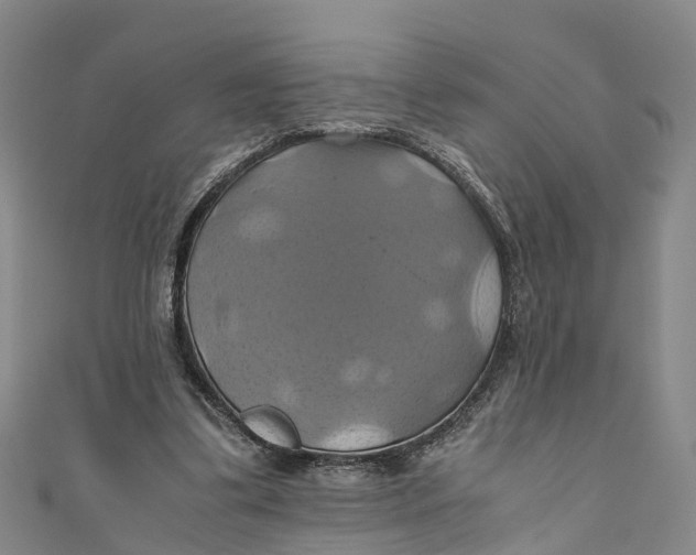 X0000110990299200907101436