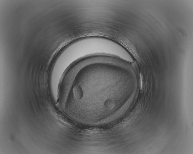X0000110990300200907101436