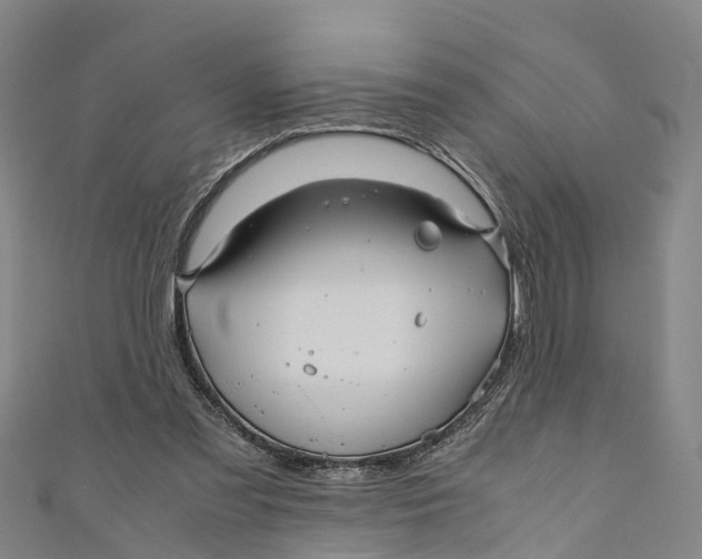 X0000110990301200907101436