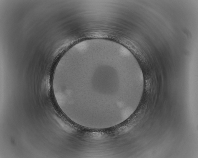 X0000110990302200907101436