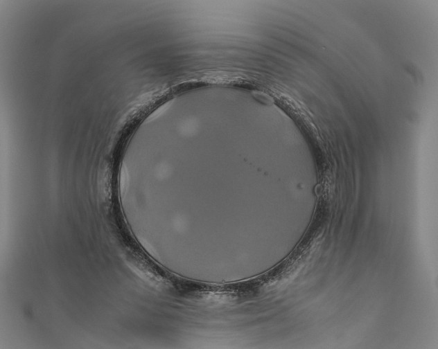 X0000110990303200907101436
