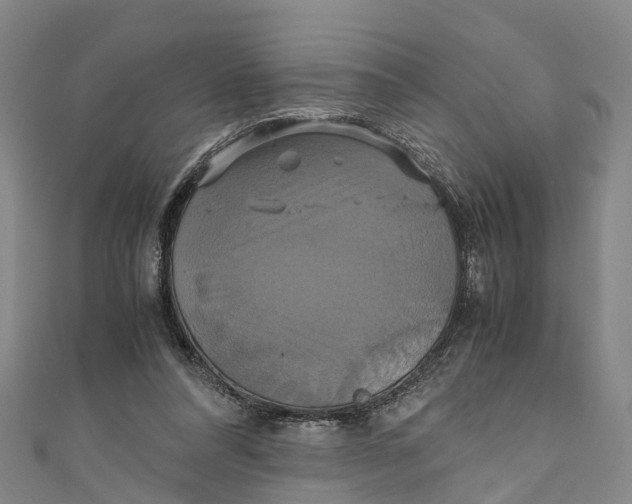 X0000110990304200907101436
