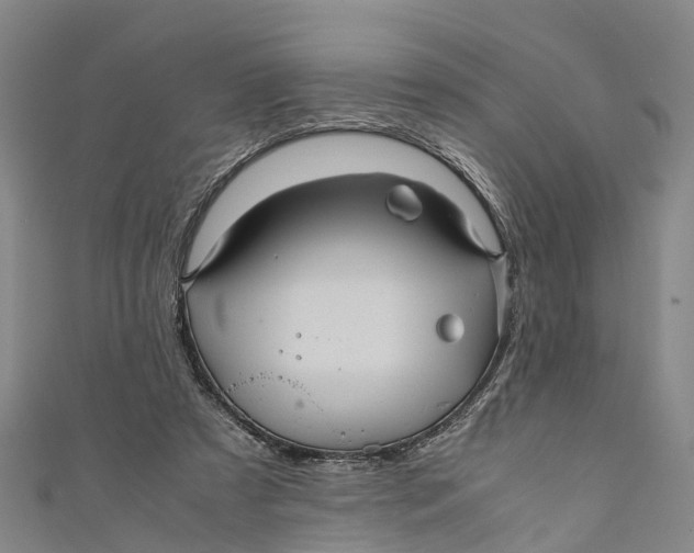 X0000110990305200907101436