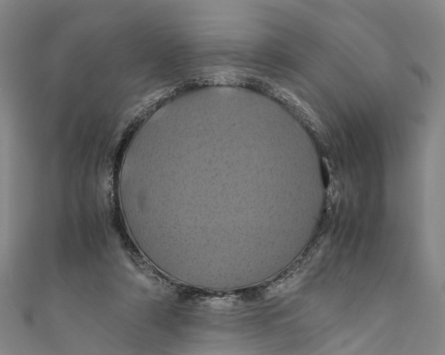 X0000110990306200907101436