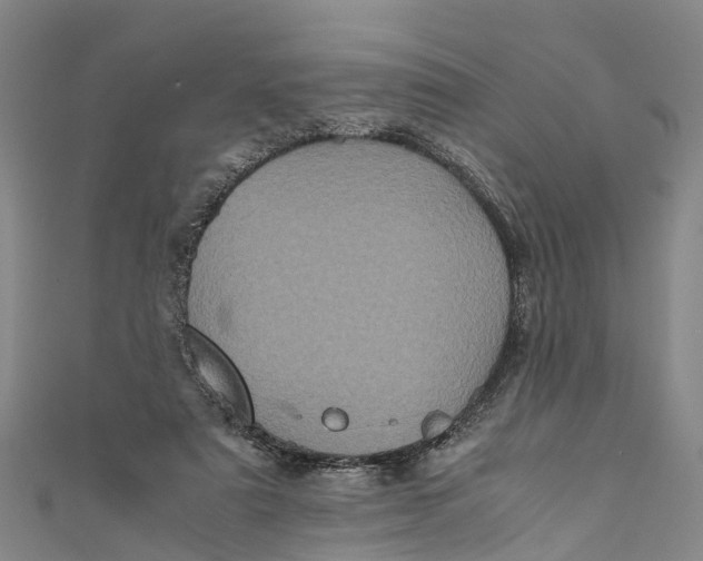 X0000110990307200907101436