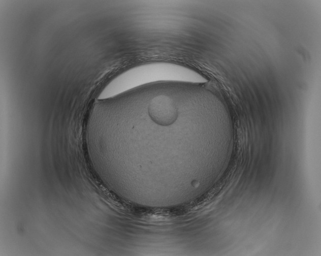 X0000110990308200907101436