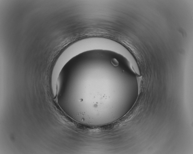 X0000110990309200907101436