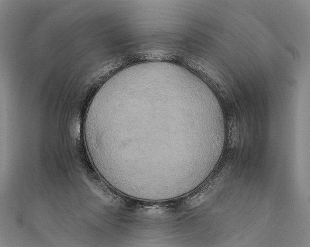 X0000110990310200907101436