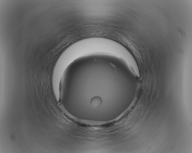 X0000110990313200907101436