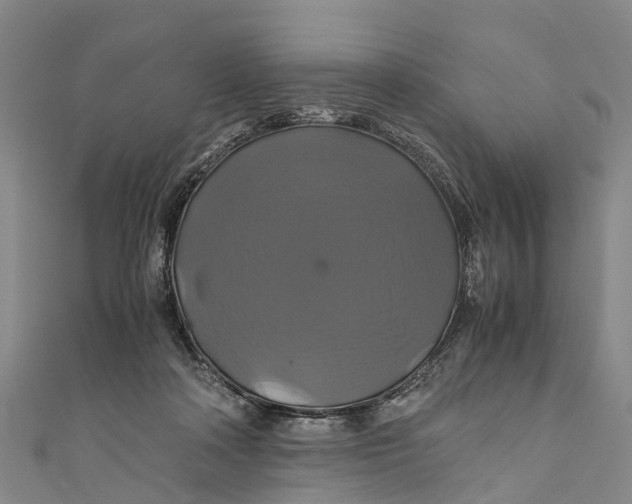 X0000110990314200907101436