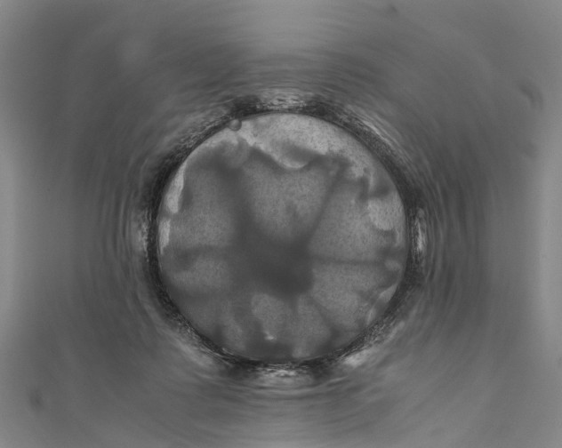 X0000110990315200907101436