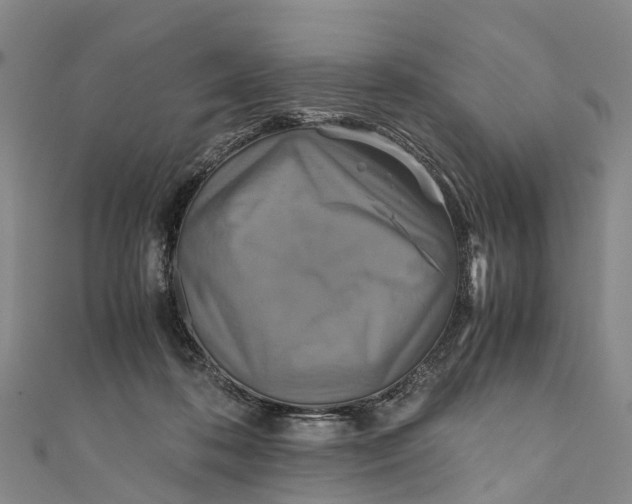 X0000110990316200907101436