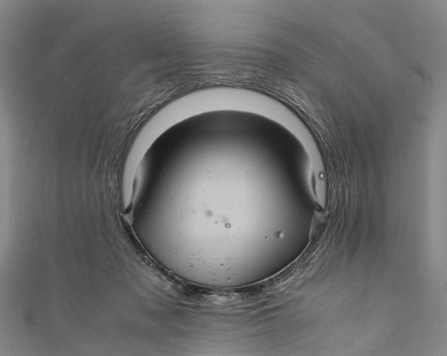 X0000110990317200907101436