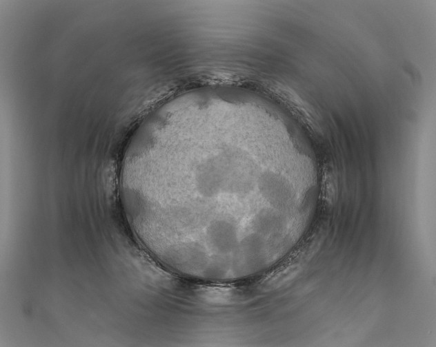X0000110990318200907101436