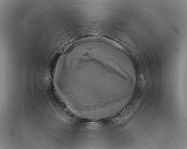 X0000110990320200907101436