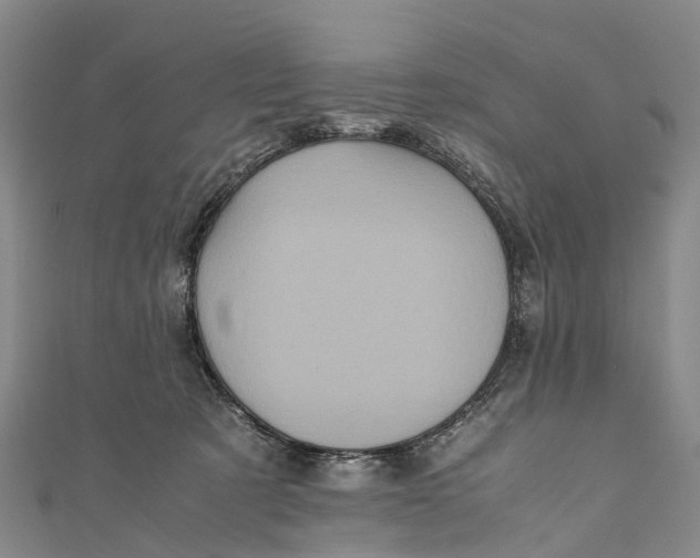 X0000110990321200907101436