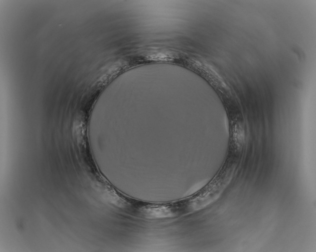 X0000110990322200907101436