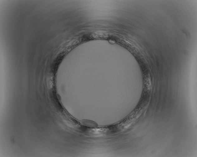 X0000110990323200907101436