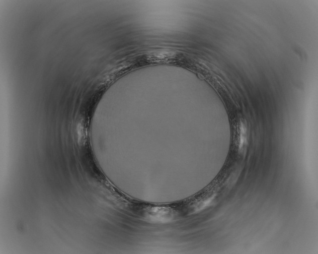 X0000110990324200907101436