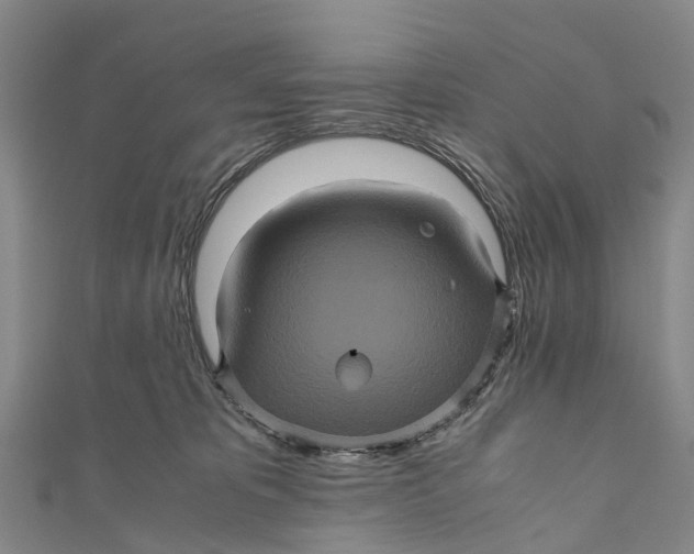X0000110990325200907101436