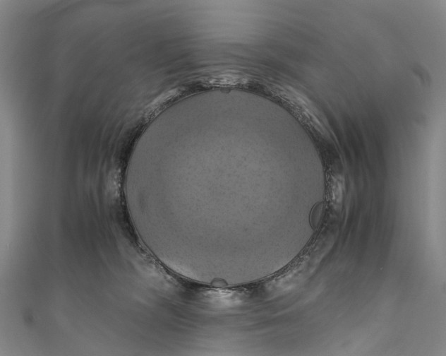 X0000110990326200907101436