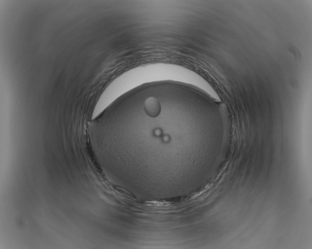 X0000110990328200907101436