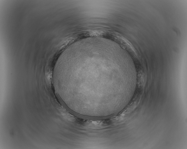 X0000110990329200907101436