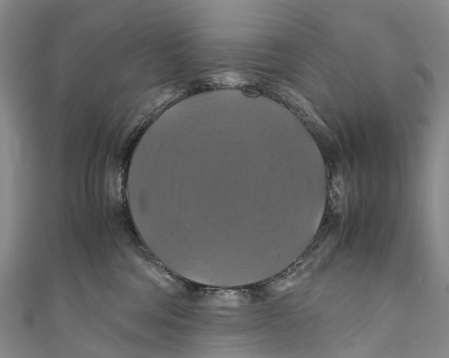 X0000110990330200907101436