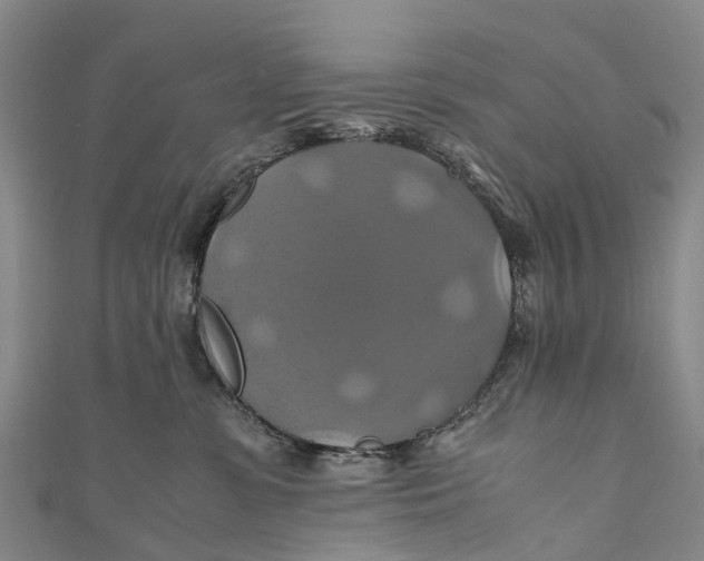 X0000110990331200907101436