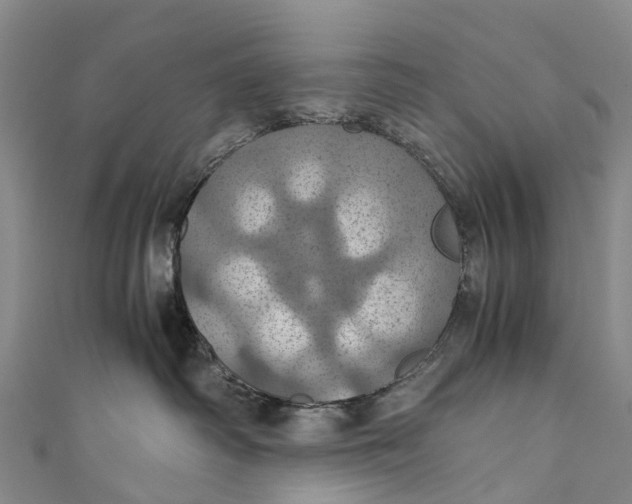 X0000110990334200907101436