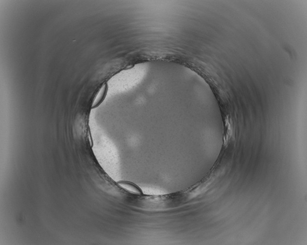 X0000110990335200907101436