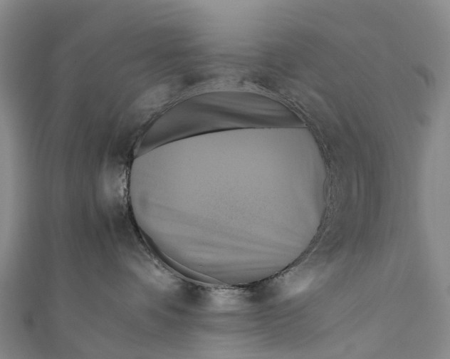 X0000110990336200907101436